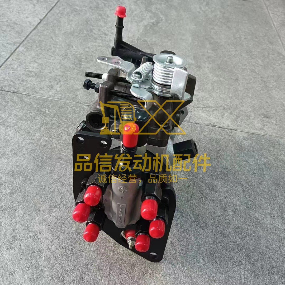 Delphi/JCB DP310 Diesel Fuel Injection Pump: 9520A310G