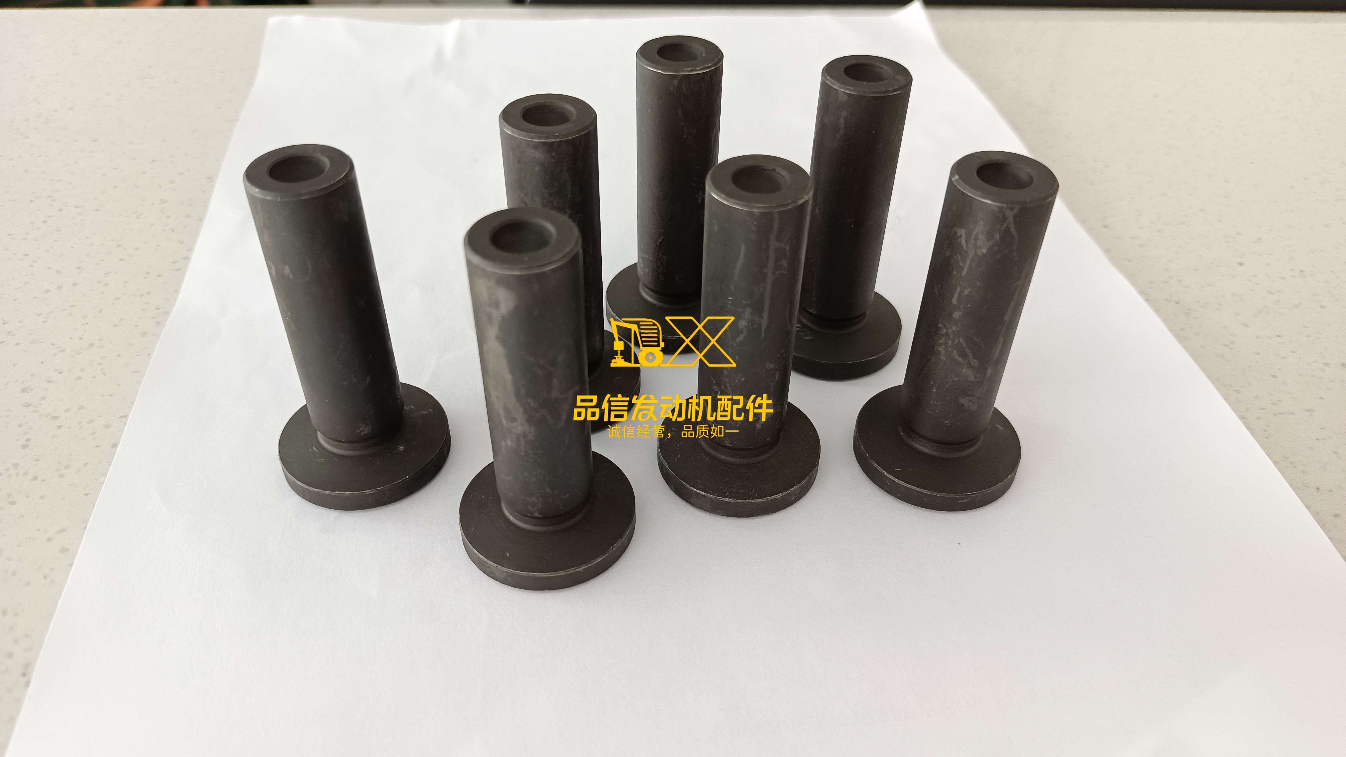 Cummns B3.3 QSB3.3 Engine Valve Tappet C6204412110 4982154