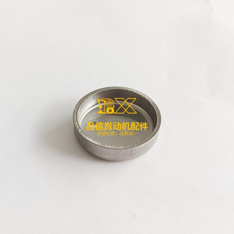 Cummins Expansion Plug Part # 3696967