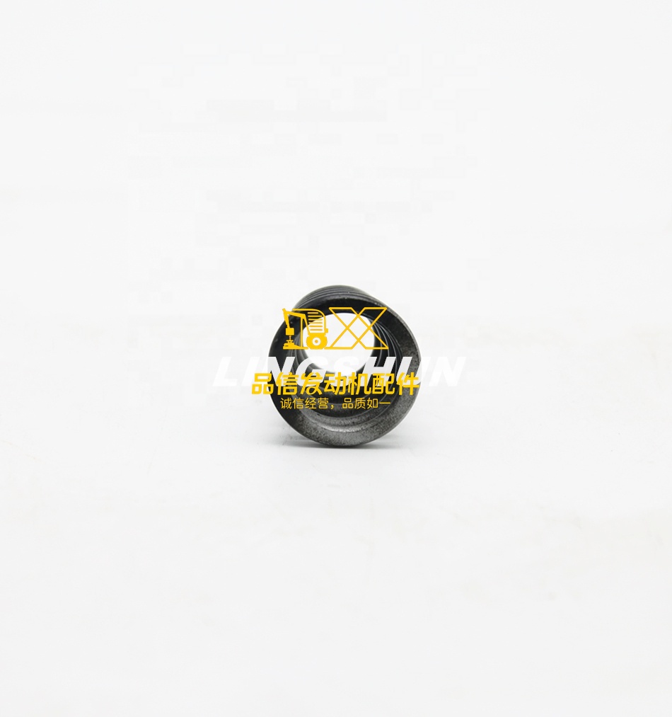 Genuine Original V9F 8941418510 8-94141851-0 8970214280 8-97021428-0 Exhaust Pipe Vibnon Spring