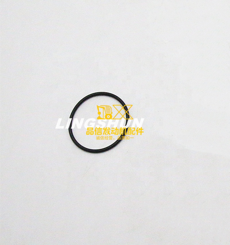 Machinery Engine Parts Genuine 6WG1TC V9F Y9F CXZ CVR EXZ 1096235290 1-09623529-0 Oil Pump Gasket