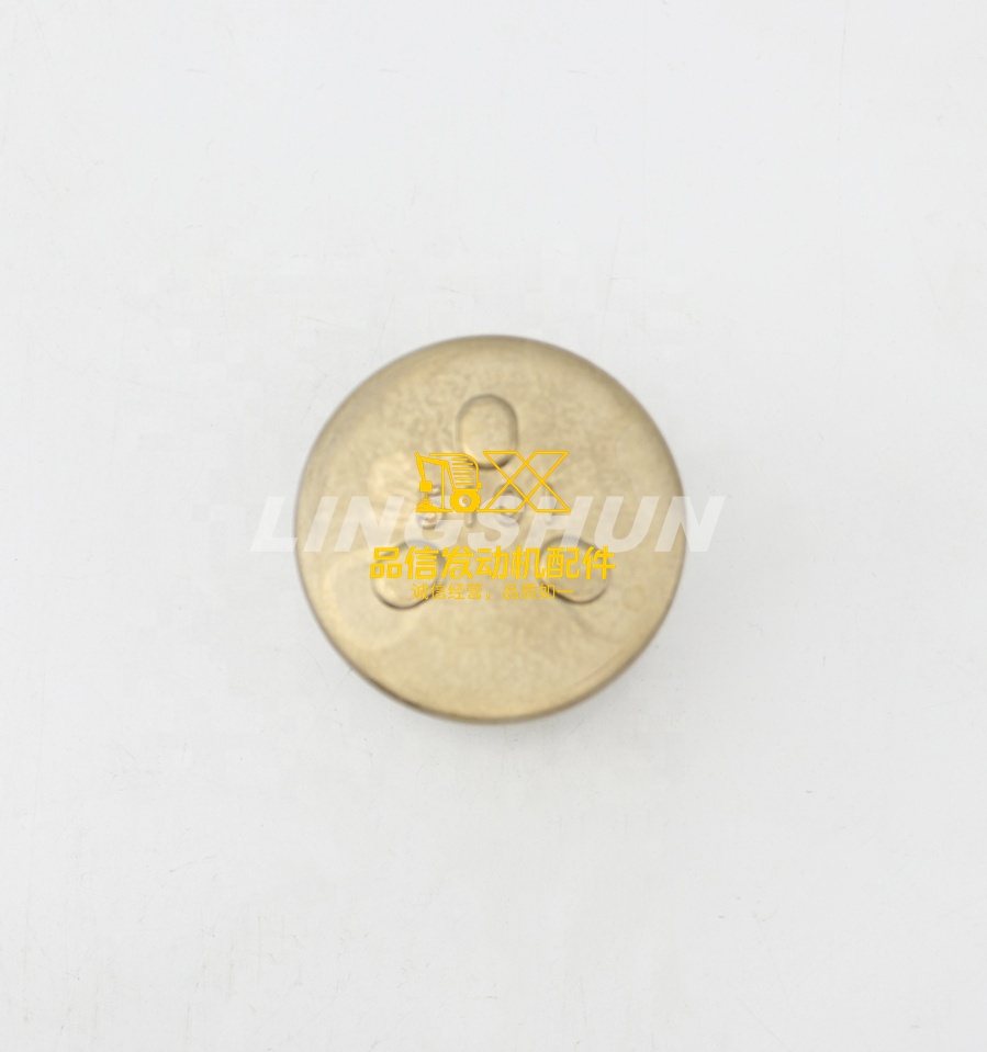 Genuine Auto Parts NKR NHR NKS WHR WKR VHR 8-97078402-0 8970784020 FRT DISC BRK CALIPER PISTON