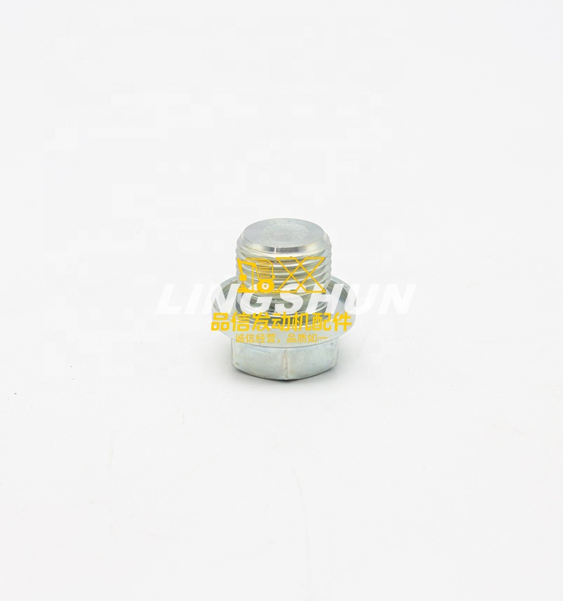 Genuine Original Other Auto Parts 4HK1  6HK1  6WG1 1096040220 1-09604022-0  OIL DRAIN PLUG