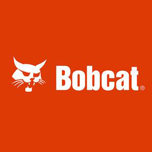Bobcat