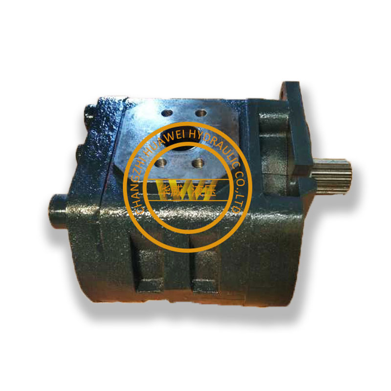 مضخة تروس هيدروليكية W061700000 مضخة رئيسية CBGJ3100