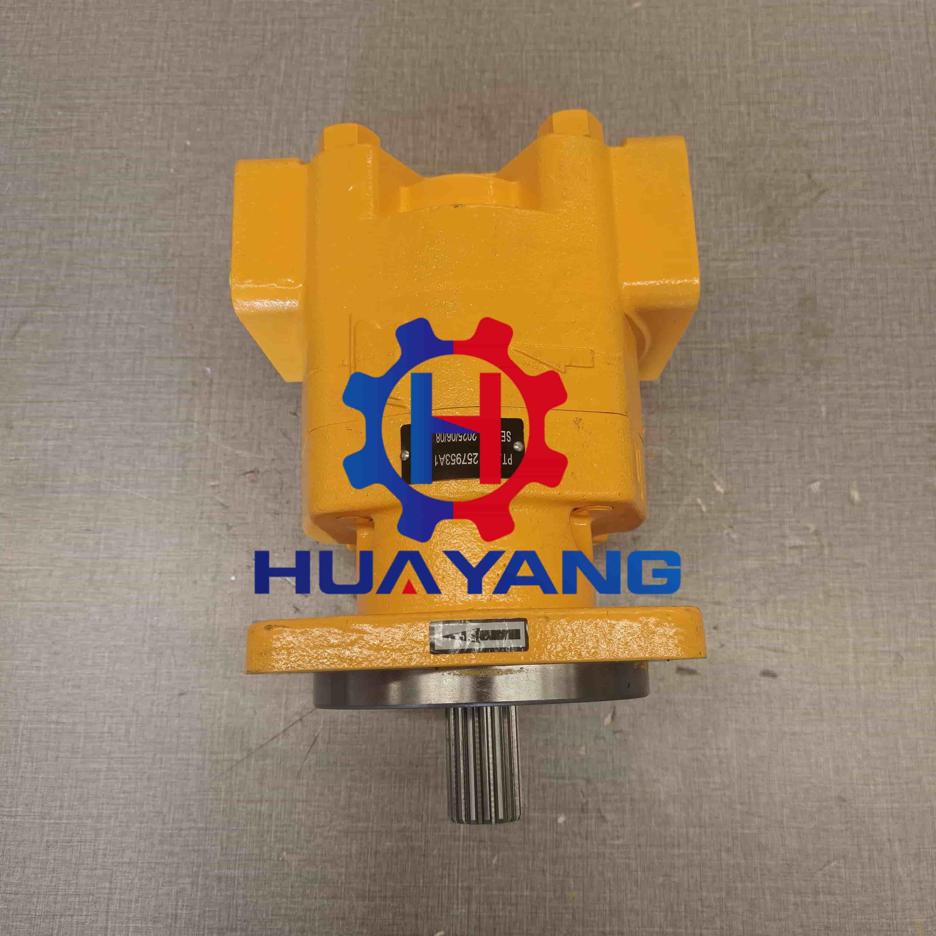 New 257953A1 Hydraulic Pump for Case Backhoes