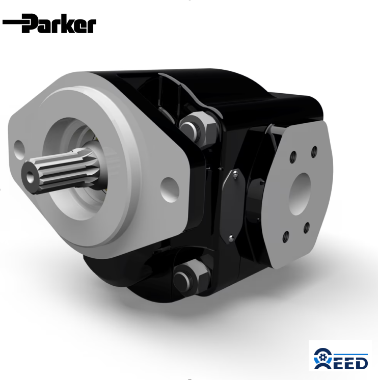 Cast Iron Pumps PGP640 Series