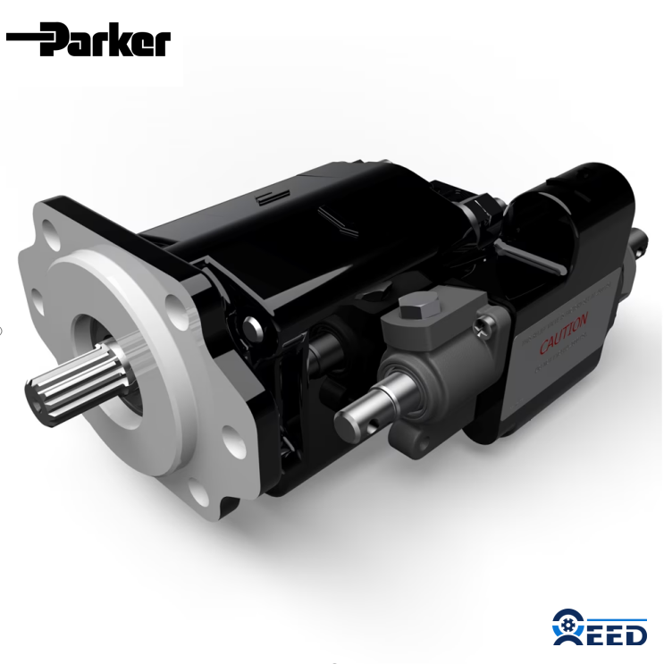 Cast Iron Pumps G101/G102 Series